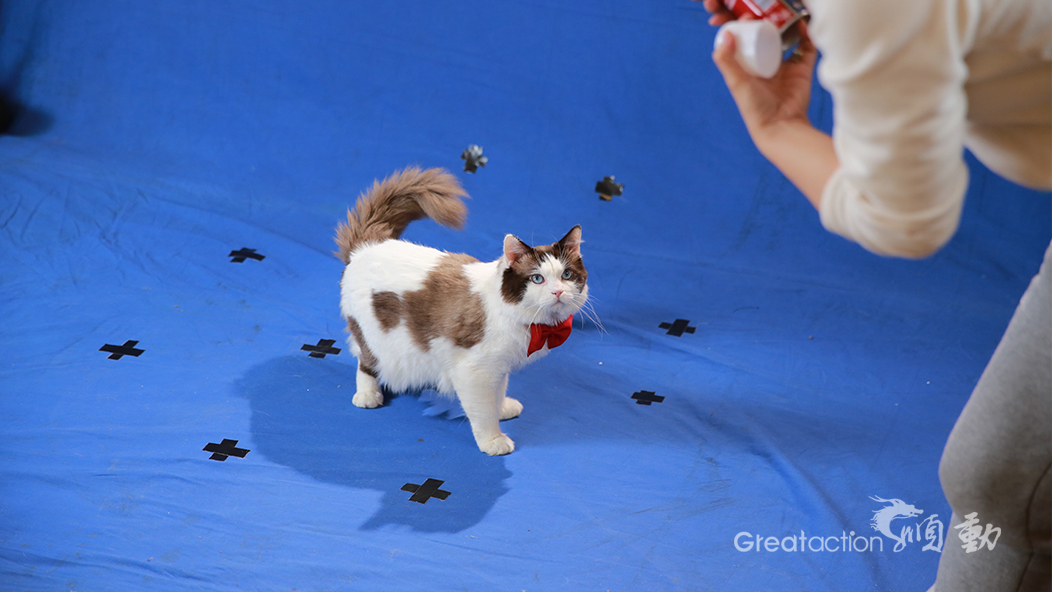 林內(nèi)熱水器拍攝花絮