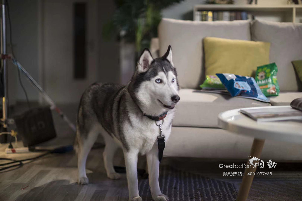 林內(nèi)健享熱水器拍攝花絮